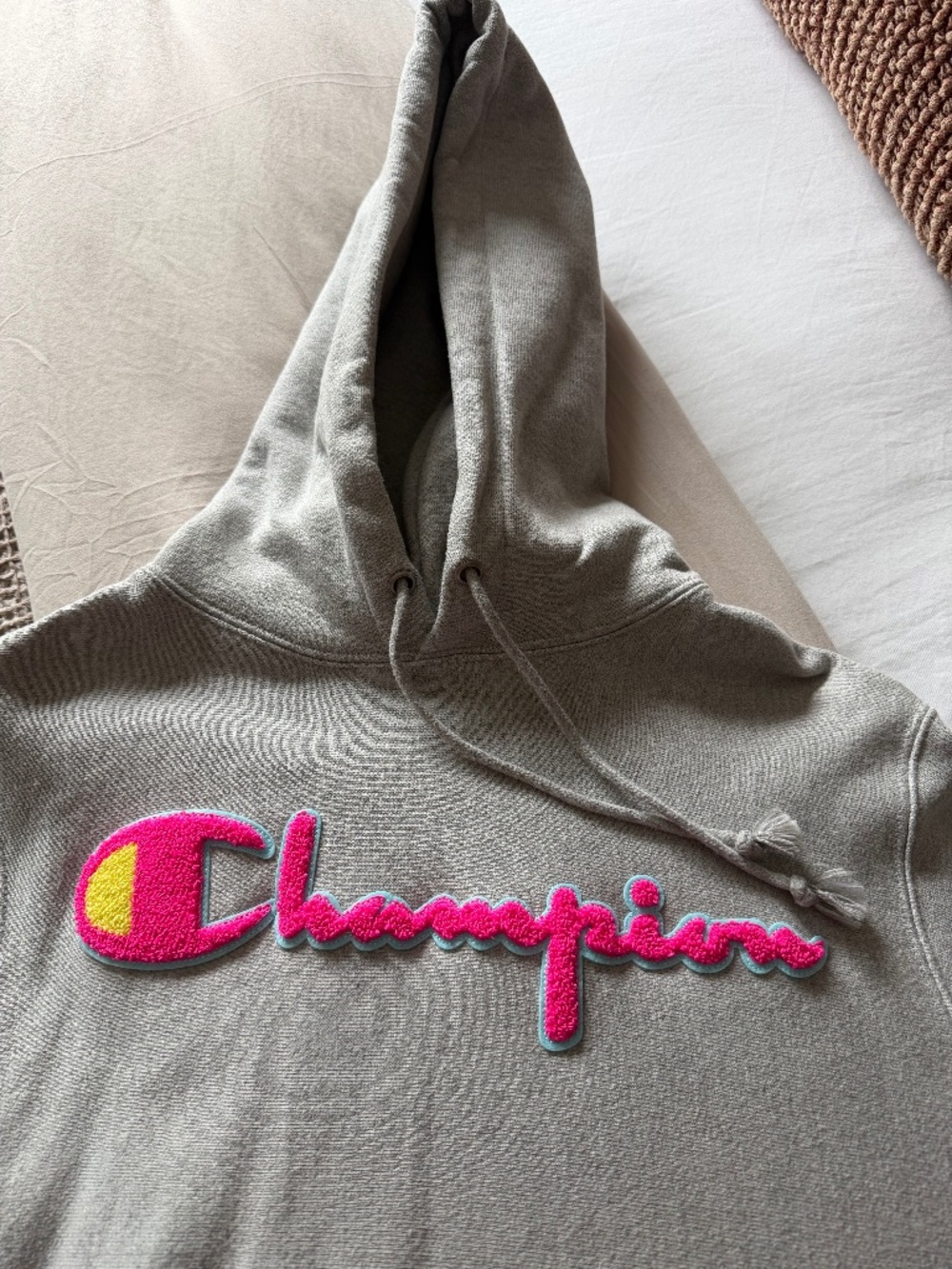 Campion reverse weave hoodie sweatshirt small NWOT